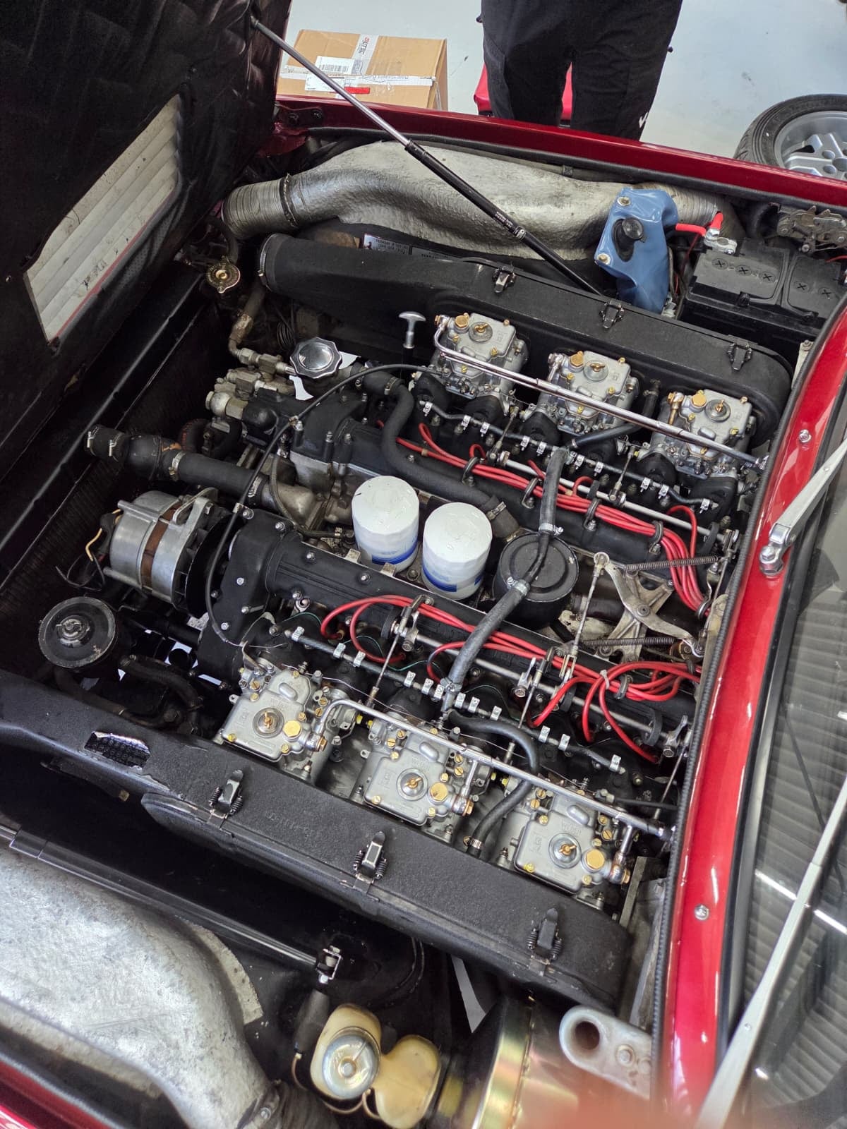 V12-motorruimte van de Ferrari 365 GT4 met de zes Weber DCOE carburateurs